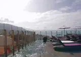 The Vine foto 25