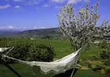 Arriadh Hotel foto 10