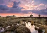 Bed and Breakfast Drentse Krent foto 17