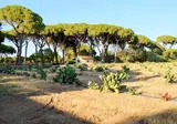 La Canova foto 10