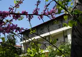 Hotel Morfeas foto 3