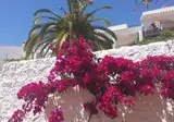 El Capistrano Sur foto 13