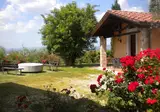 Il Poggio degli Olivi foto 16