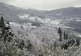 Il Trebbiolo foto 30