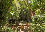 Le Windsor, Jungle Art Hotel foto 27
