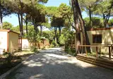Marina Romea Easy Camping Village foto 7