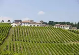 Borgo Conde Wine Resort foto 22