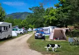 Flower Camping Le Mas De Champel foto 24