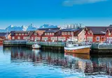 Noorderlicht en de Lofoten foto 3