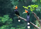 Fascinerend Indonesië foto 10