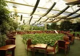 Washington Resort Hotel & SPA foto 10