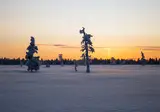 8-daagse Winterbelevenis Tromsø, Kiruna en het IJshotel foto 5