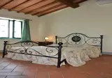 Azienda Agricola Musignano foto 8