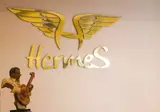 Hotel Hermes foto 27