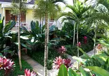 Negril Palms Hotel foto 18
