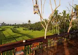 The Sun of Granary Resort & Villas foto 9