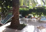 Green Palm foto 4