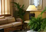 Aparthotel Marinas de Nerja Beach & Spa foto 23