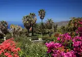 La Palma Jardin foto 24
