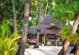 Diamonds Thudufushi Maldives Resort & Spa foto 5
