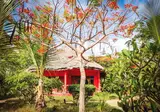 Spice Island Hotel & Resort foto 16