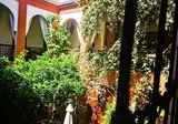 Riad Zagouda foto 23