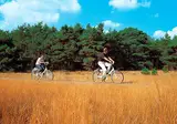 De Oringer Marke foto 5