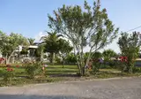 Kalloni Bay foto 17