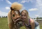 De Beemster foto 7