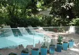 Le Windsor, Jungle Art Hotel foto 28