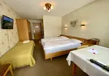Hotel Alpina Parpan foto 14