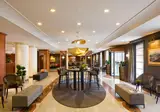 Starhotels Tourist foto 18