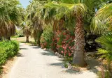 Appartementen Quinta do Mar - Country & Sea Village foto 13