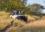 Ultimate Safari Experience - Sefapane Lodge foto 5