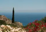 Natura e Mare foto 13