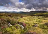 Ontdek Ierland in 11 dagen foto 25