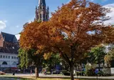 Tower Hotel Aalst foto 16