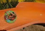 Aloha foto 15
