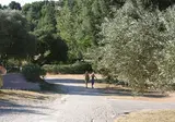 Camping Miremer foto 21