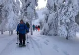 8 daagse excursiereis Ruka Adventure foto 4