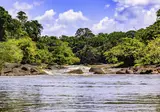 10 daagse reis a taste of Suriname foto 4