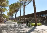 Camping Marina Di Venezia foto 9