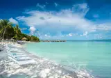 Baker's Cay Resort Key Largo, Curio Collection by Hilton foto 3