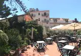 Delle Palme foto 8