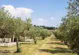 Camping Pian Di Boccio foto 3