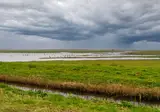 Texel foto 20