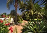 La Palma Jardin Resort foto 16