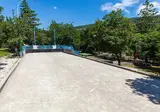 Kacjak foto 10