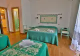 Le Mimose foto 18