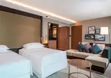 Sheraton Grand Tbilisi Metechi Palace foto 30